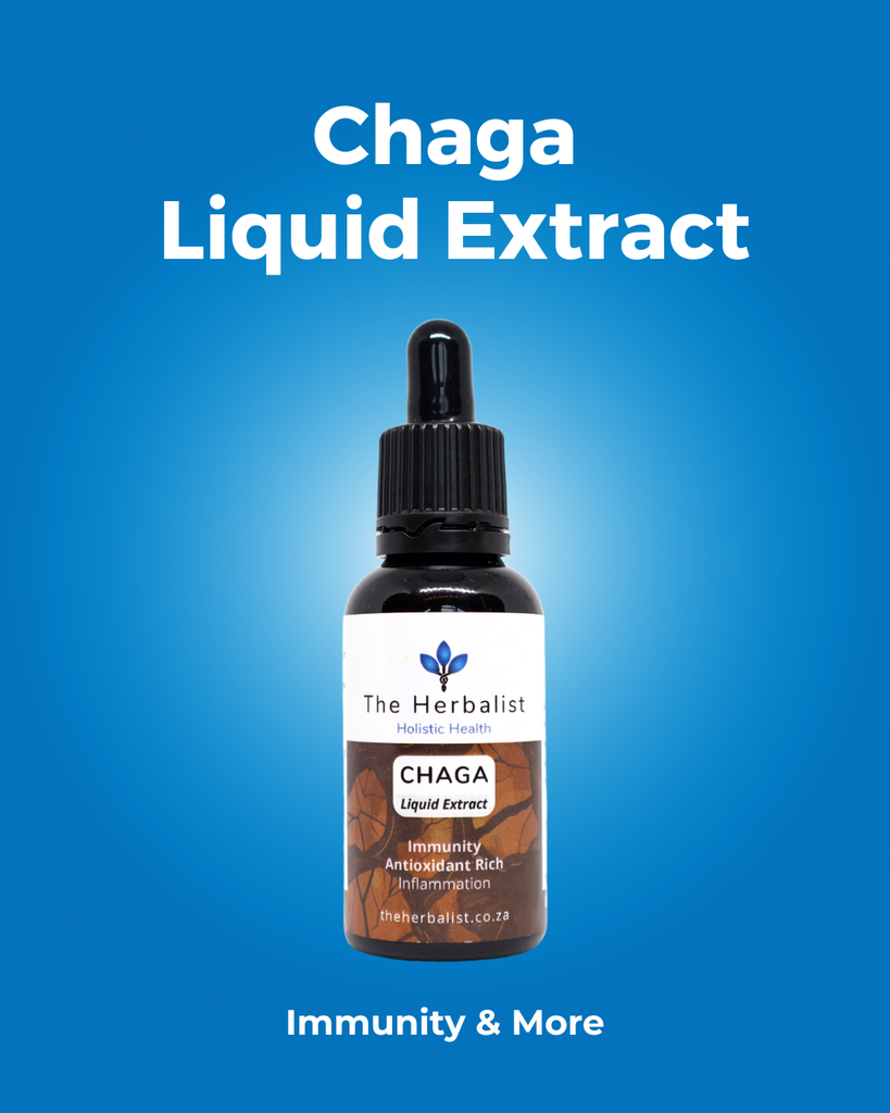 Chaga Liquid Extract 30ml