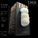 Lion's Mane 4.webp