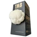 Mushroom Grow Box - Lion's Mane Mushrooms