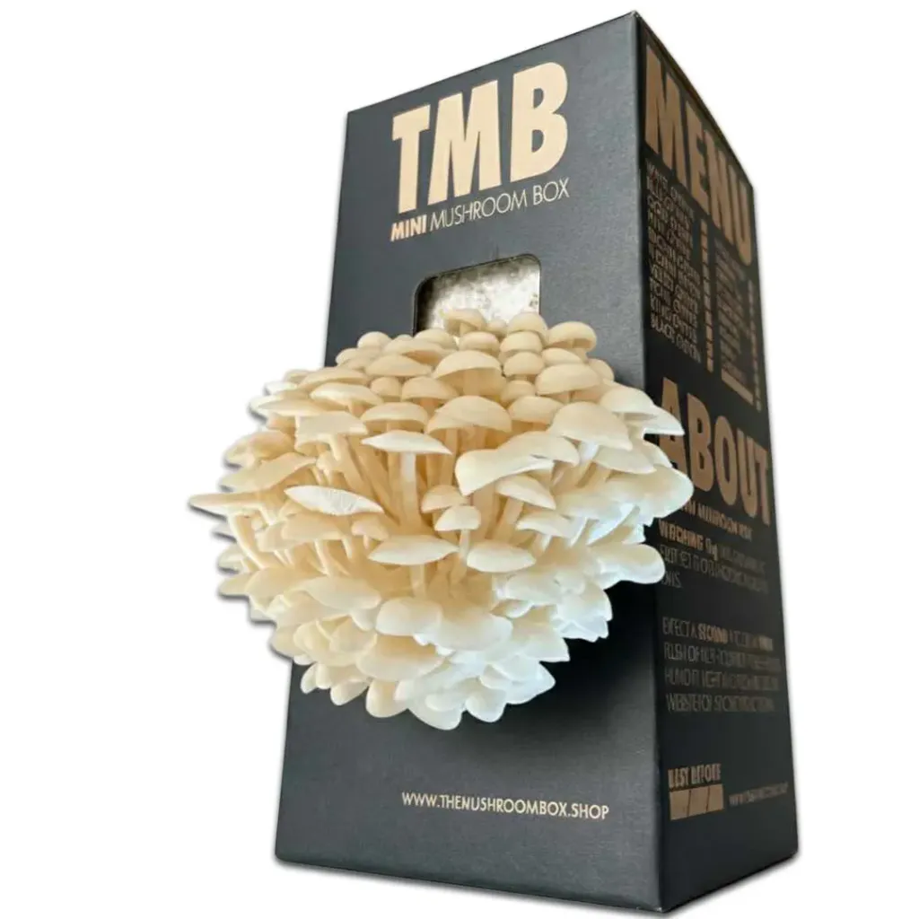 Mushroom Grow Box - White Enoki Mushrooms